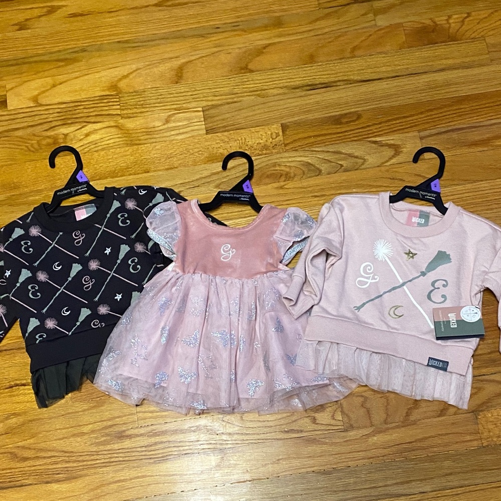 Wicked Girls Pink Tulle Dress & Matching Sweatshirts